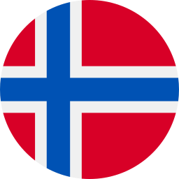 synertics norway flag icon