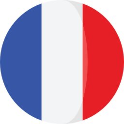 synertics france flag icon