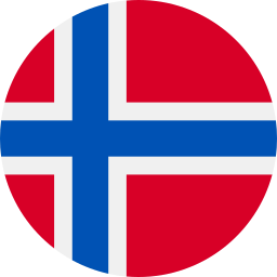 synertics norway flag icon